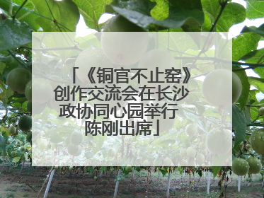 《铜官不止窑》创作交流会在长沙政协同心园举行 陈刚出席