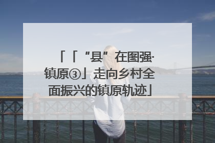 「“县”在图强·镇原③」走向乡村全面振兴的镇原轨迹