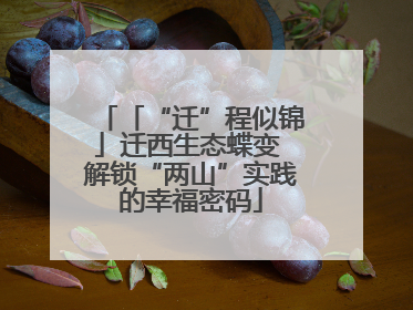 「“迁”程似锦」迁西生态蝶变 解锁“两山”实践的幸福密码