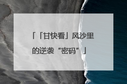 「甘快看」风沙里的逆袭“密码”