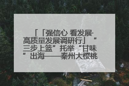 「强信心 看发展·高质量发展调研行」“三步上篮”托举“甘味”出海——秦州大樱桃高质量发展动作分解