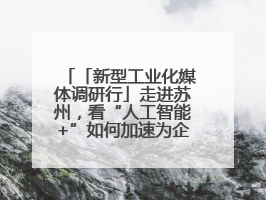 「新型工业化媒体调研行」走进苏州，看“人工智能+”如何加速为企业“变现”
