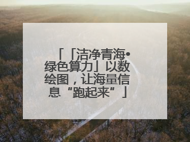 「洁净青海•绿色算力」以数绘图，让海量信息“跑起来”