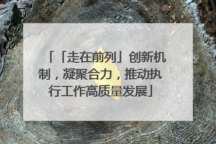 「走在前列」创新机制，凝聚合力，推动执行工作高质量发展