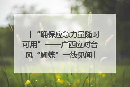 “确保应急力量随时可用”——广西应对台风“蝴蝶”一线见闻