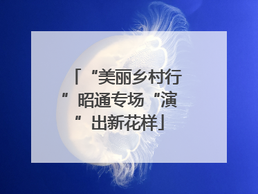 “美丽乡村行”昭通专场“演”出新花样