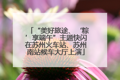 “美好旅途、‘粽’享端午”主题快闪在苏州火车站、苏州南站候车大厅上演