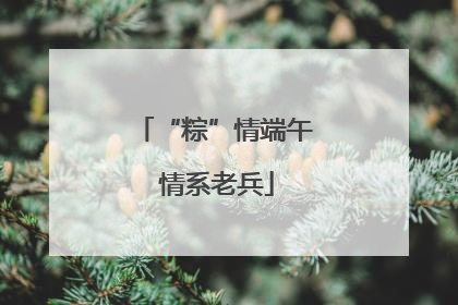 “粽”情端午 情系老兵