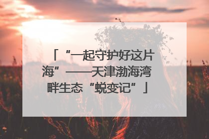 “一起守护好这片海”——天津渤海湾畔生态“蜕变记”