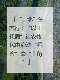“三北”生态行：“以工代赈”让农牧民由治沙“看客”变“主角”