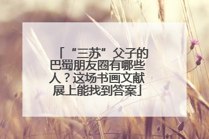 “三苏”父子的巴蜀朋友圈有哪些人？这场书画文献展上能找到答案