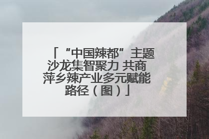 “中国辣都”主题沙龙集智聚力 共商萍乡辣产业多元赋能路径（图）
