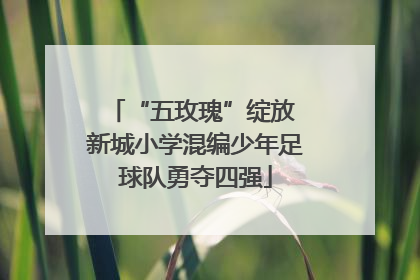 “五玫瑰”绽放 新城小学混编少年足球队勇夺四强