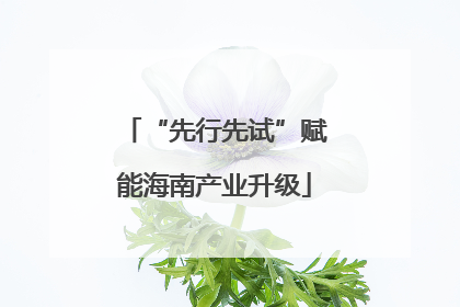 “先行先试”赋能海南产业升级