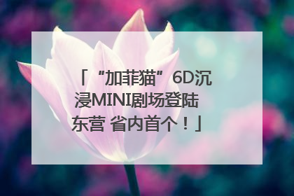 “加菲猫”6D沉浸MINI剧场登陆东营 省内首个！
