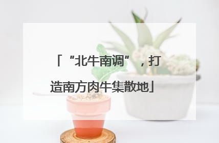 “北牛南调”，打造南方肉牛集散地