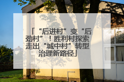 “后进村”变“后劲村”！胜利村探索走出“城中村”转型治理新路径