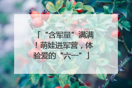 “含军量”满满！萌娃进军营，体验爱的“六一”