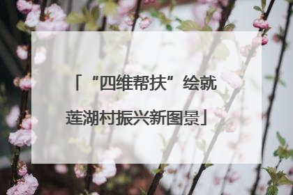 “四维帮扶”绘就莲湖村振兴新图景