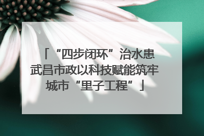 “四步闭环”治水患 武昌市政以科技赋能筑牢城市“里子工程”