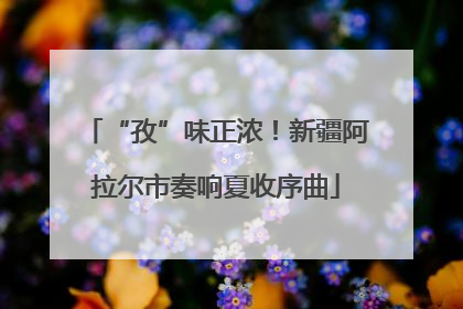 “孜”味正浓！新疆阿拉尔市奏响夏收序曲