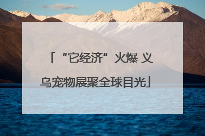 “它经济”火爆 义乌宠物展聚全球目光