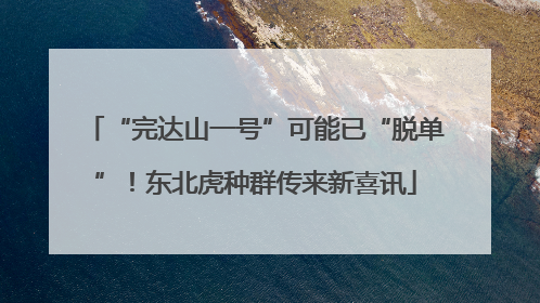 “完达山一号”可能已“脱单”！东北虎种群传来新喜讯