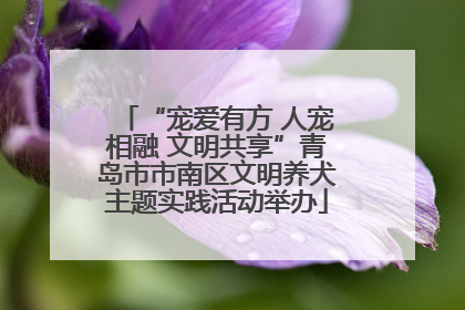 “宠爱有方 人宠相融 文明共享”青岛市市南区文明养犬主题实践活动举办