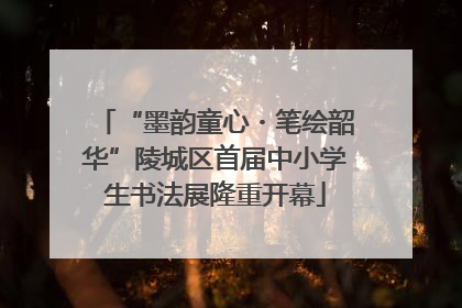 “墨韵童心・笔绘韶华”陵城区首届中小学生书法展隆重开幕
