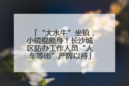“大水牛”坐镇，小撬棍随身！长沙城区防办工作人员“人车等雨”严阵以待