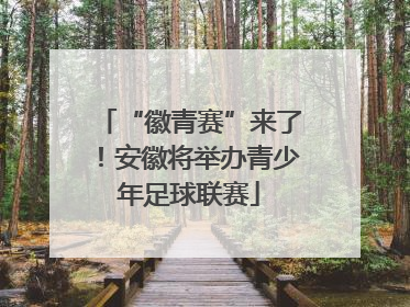 “徽青赛”来了！安徽将举办青少年足球联赛