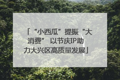 “小西瓜”提振“大消费” 以节庆IP助力大兴区高质量发展