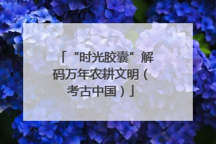 “时光胶囊”解码万年农耕文明（考古中国）