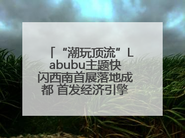 “潮玩顶流”Labubu主题快闪西南首展落地成都 首发经济引擎再添动能