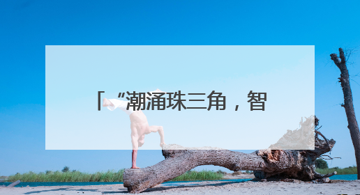 “潮涌珠三角，智汇龙江畔” 漳州高新区珠三角产业对接会在广州召开