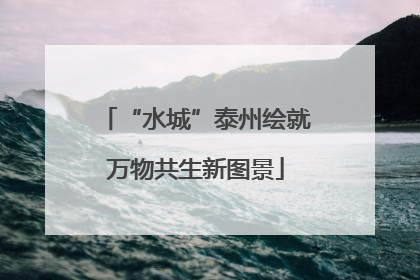 “水城”泰州绘就万物共生新图景