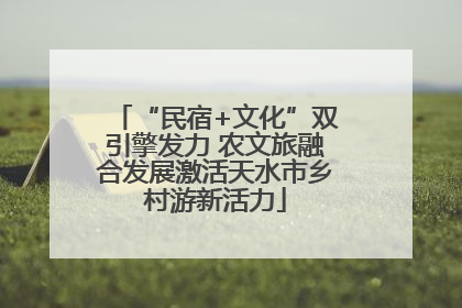 “民宿+文化”双引擎发力 农文旅融合发展激活天水市乡村游新活力