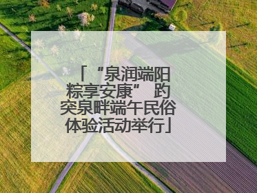 “泉润端阳 粽享安康” 趵突泉畔端午民俗体验活动举行