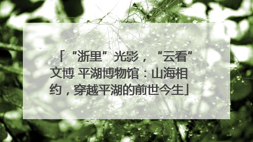“浙里”光影，“云看”文博 平湖博物馆：山海相约，穿越平湖的前世今生