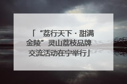“荔行天下・甜满金陵”灵山荔枝品牌交流活动在宁举行
