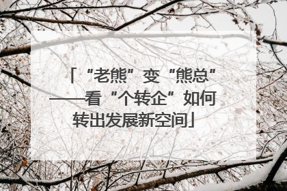 “老熊”变“熊总”——看“个转企”如何转出发展新空间