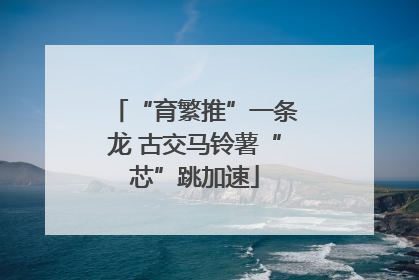 “育繁推”一条龙 古交马铃薯“芯”跳加速