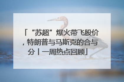 “苏超”爆火带飞股价，特朗普与马斯克的合与分丨一周热点回顾