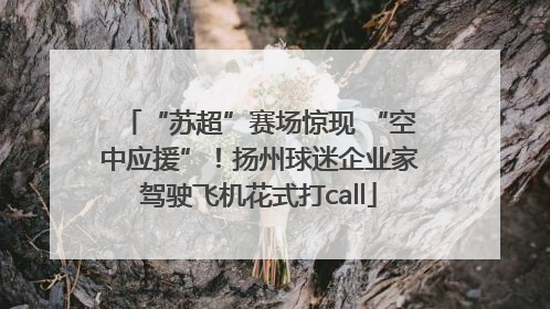 “苏超”赛场惊现 “空中应援”！扬州球迷企业家驾驶飞机花式打call