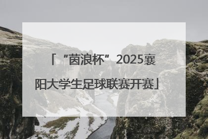 “茵浪杯”2025襄阳大学生足球联赛开赛