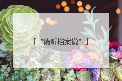 “请听档案说”