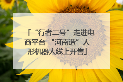 “行者二号”走进电商平台 “河南造”人形机器人线上开售