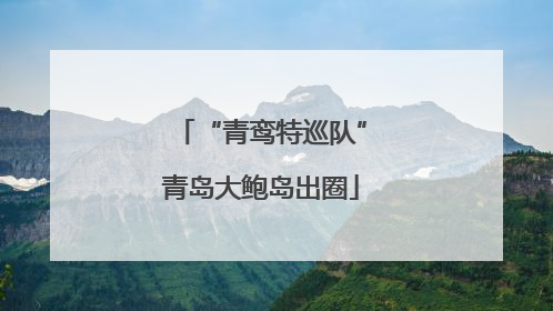 “青鸾特巡队”青岛大鲍岛出圈
