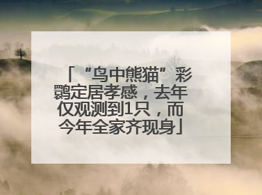 “鸟中熊猫”彩鹮定居孝感，去年仅观测到1只，而今年全家齐现身