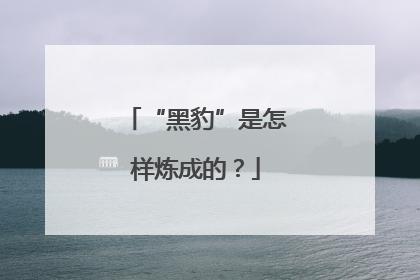 “黑豹”是怎样炼成的？